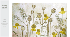 Desktop Screenshot of mandydisher.com